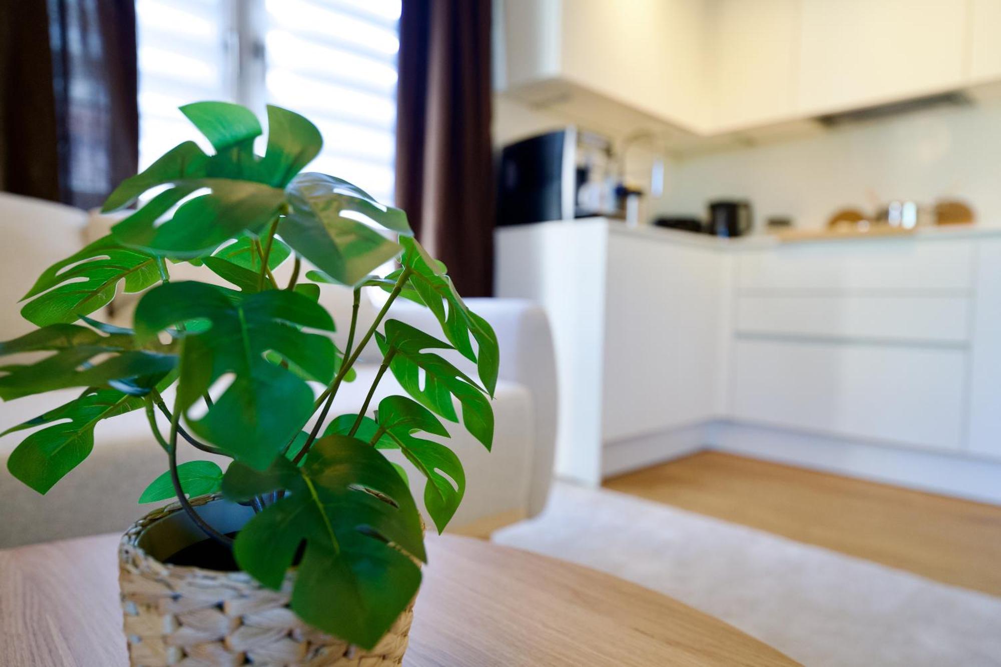 Apartamento Edler Wohnraum Schwanenteich-Oase Mit Balkon, Kaffeevollautomat, Lift & Parkplatz Zwickau Exterior foto